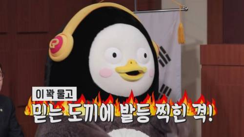 [초스압] 펭수와 매니저 삭발 재판.jpg