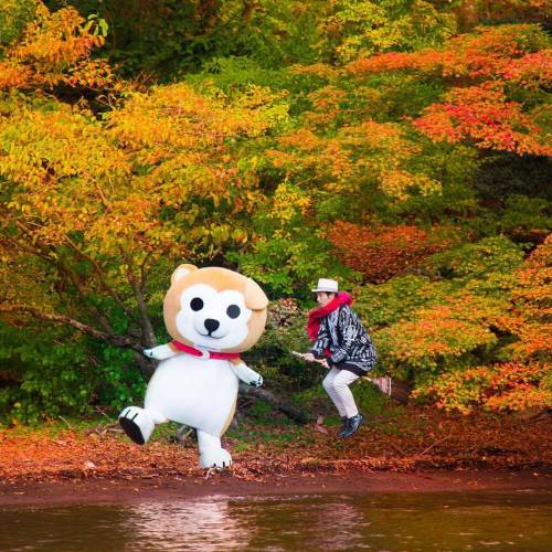 [스압] 일관성 있게 사진찍는 여행객.jpg
