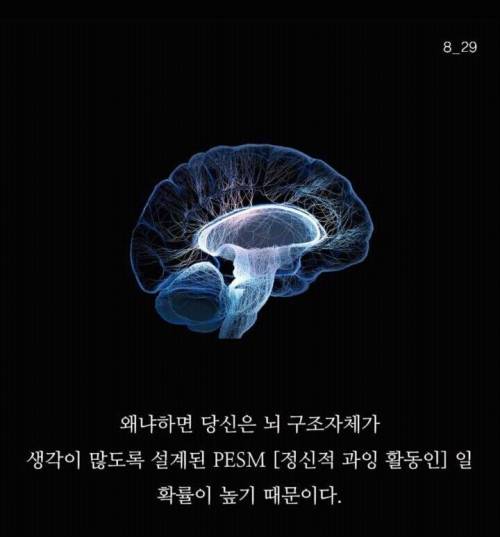 [스압] 생각이 많아서 걸리는 병 PESM증후군