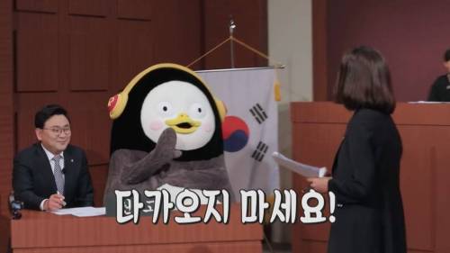 [초스압] 펭수와 매니저 삭발 재판.jpg