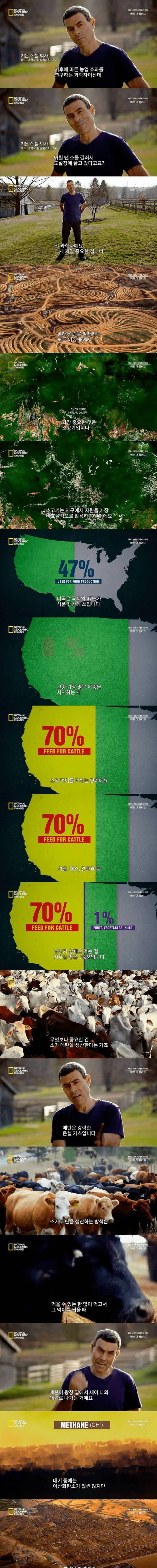 [스압] 디카프리오가 채식을 하는 이유.jpg