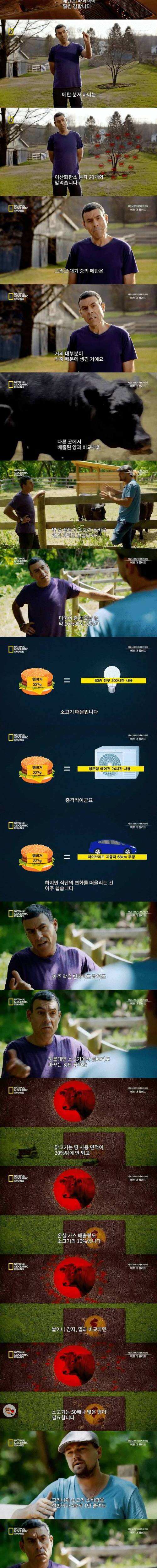 [스압] 디카프리오가 채식을 하는 이유.jpg