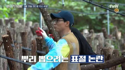 [스압] 워크맨 표절 논란 유재석 vs 장성규 (feat. 한혜진)