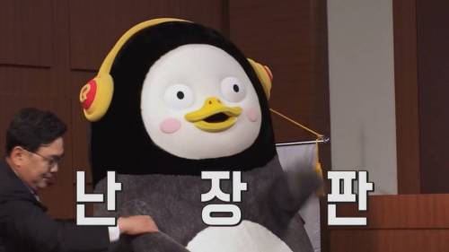 [초스압] 펭수와 매니저 삭발 재판.jpg