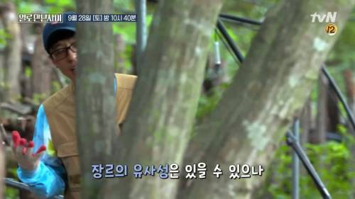 [스압] 워크맨 표절 논란 유재석 vs 장성규 (feat. 한혜진)