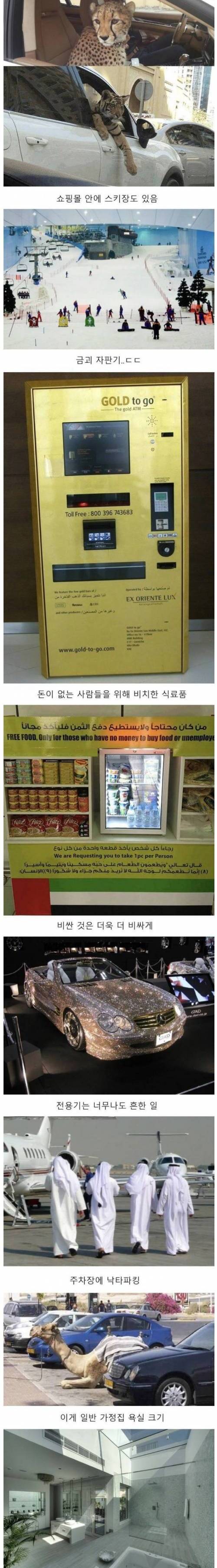 [스압] 기름국의 위엄.jpg