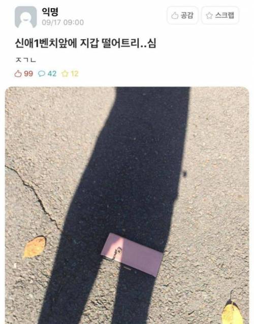 주인님 주워가세요!.jpg