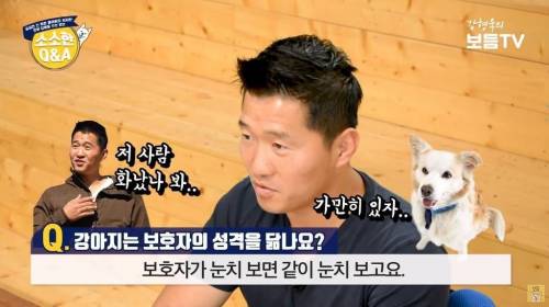 강아지는 주인 성격 닮나요?