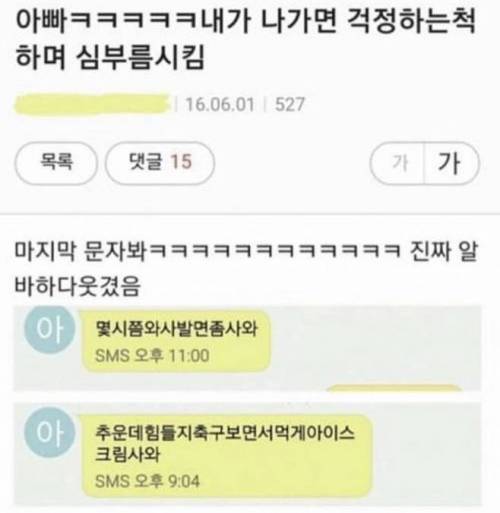 걱정하는척 심부름 시키기.jpg