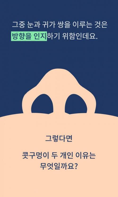 [스압] 콧구멍이 2개인 이유.jpg