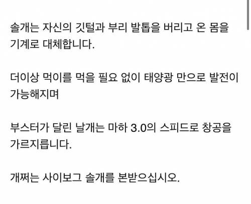 늙은 솔개의 최후...jpg