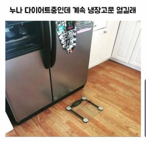 누나 다이어트 중인데 계속 냉장고문 열길래.jpg