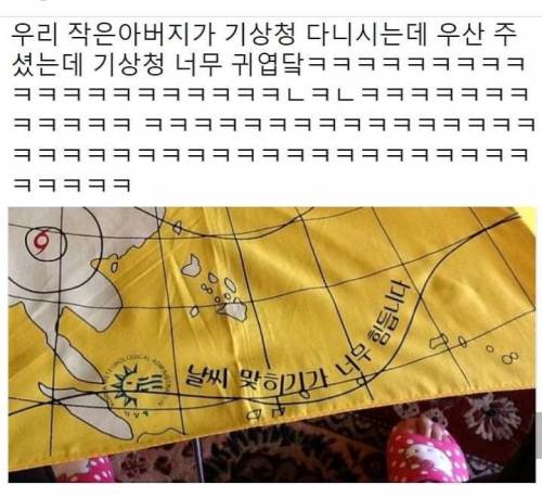 기상청에서 나눠주는 우산.jpg