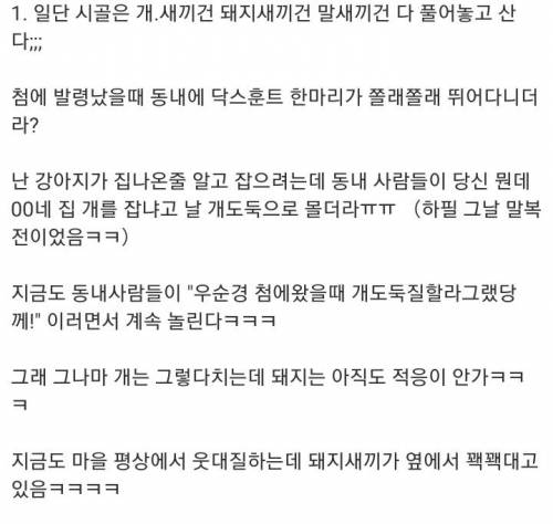 시골 경찰관 썰.jpg
