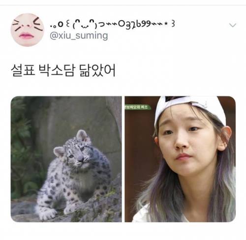 박소담이랑 닮은 동물.jpg