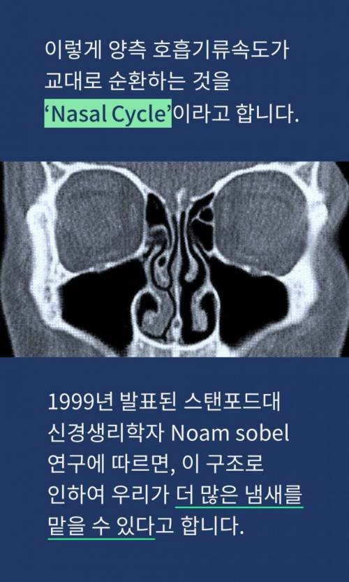 [스압] 콧구멍이 2개인 이유.jpg