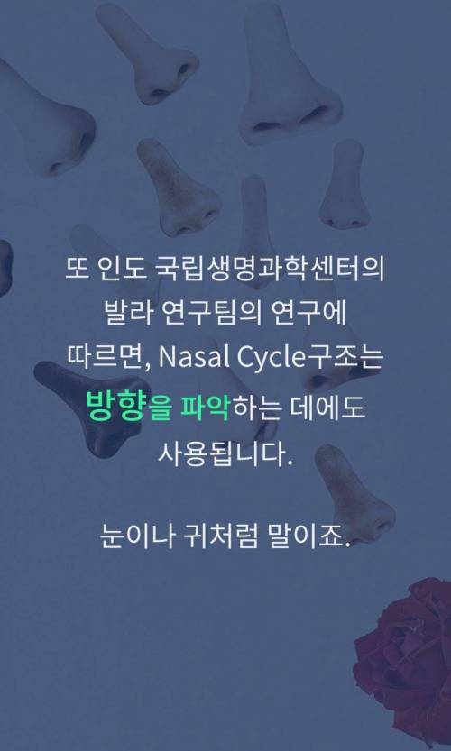 [스압] 콧구멍이 2개인 이유.jpg