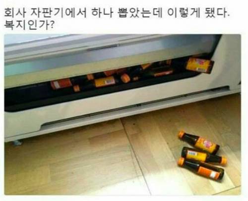 레전드 회사 복지.jpg