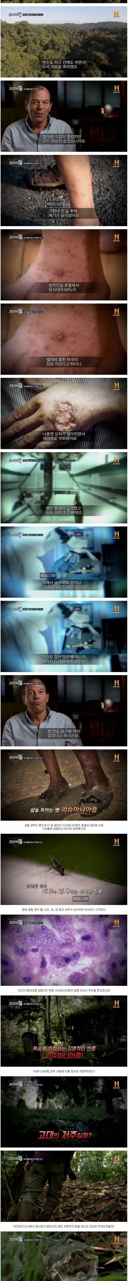 [스압] 찾아가는 도중 다 죽는 밀림 속 도시의 비밀.jpg