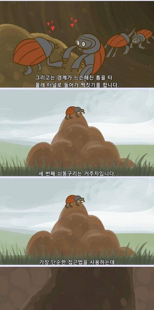 [스압] 지구는 왜 똥으로 뒤덮이지 않는 걸까?