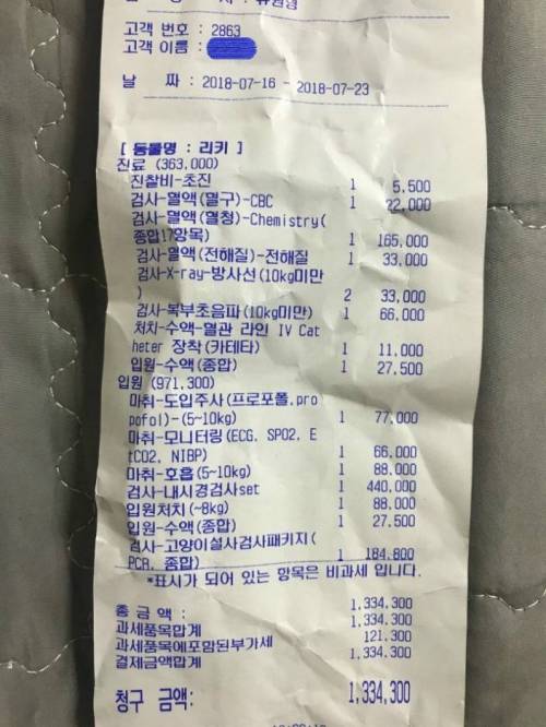 동물병원 과잉진료.jpg