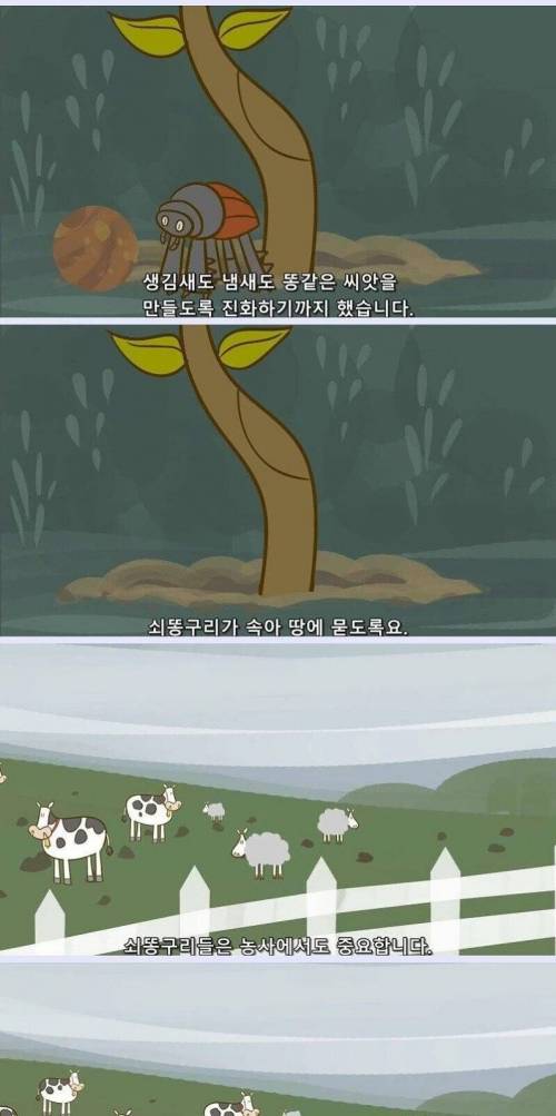 [스압] 지구는 왜 똥으로 뒤덮이지 않는 걸까?