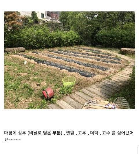 식물갤러가 극도로 분노하는 경우.jpg