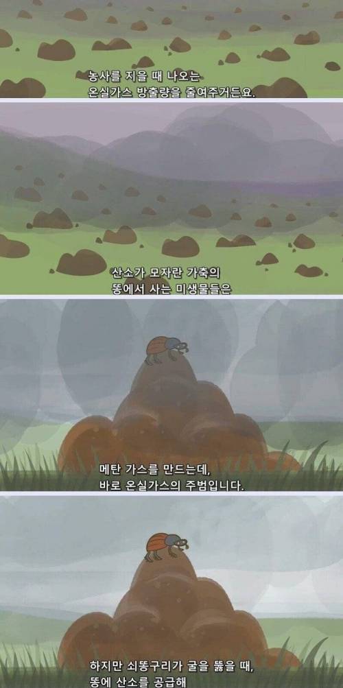 [스압] 지구는 왜 똥으로 뒤덮이지 않는 걸까?