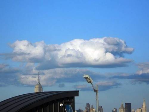 사람들이 관찰한 가장 특이한 구름 모양