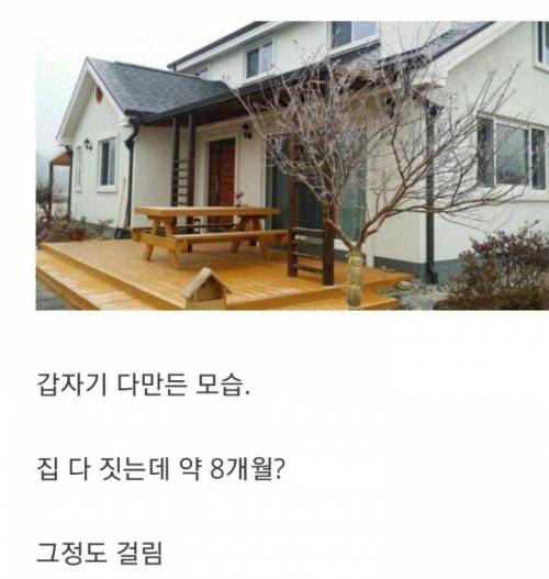[스압] 200평 땅에 집 지은 디시인.jpg