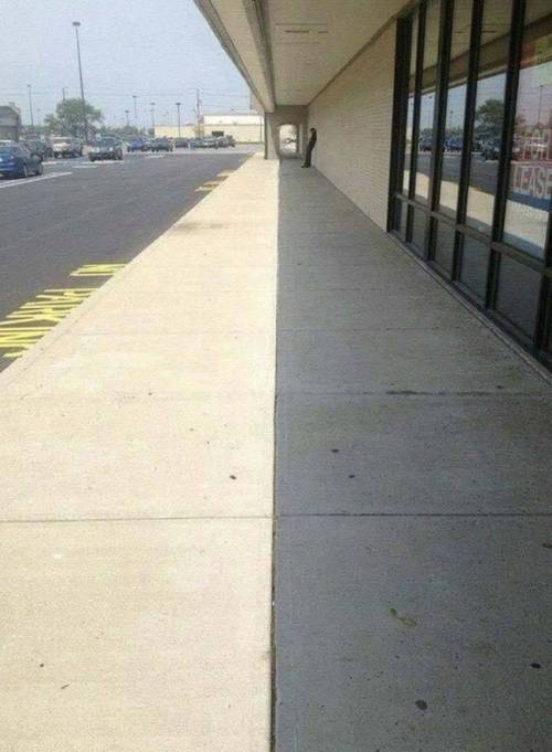 [스압] 마음이 평안해지는 사진들.jpg