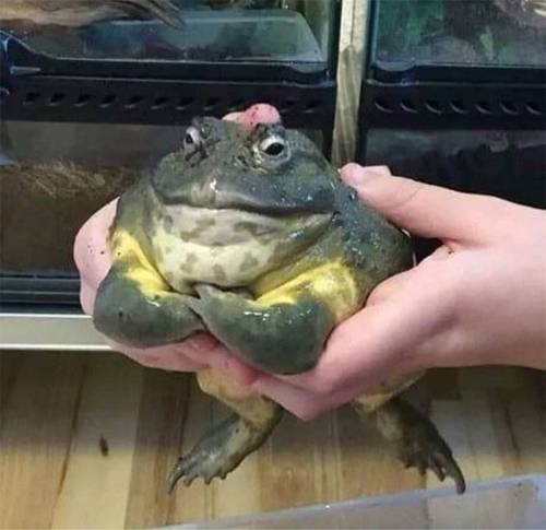 [스압] 인상적인 동물사진.jpg