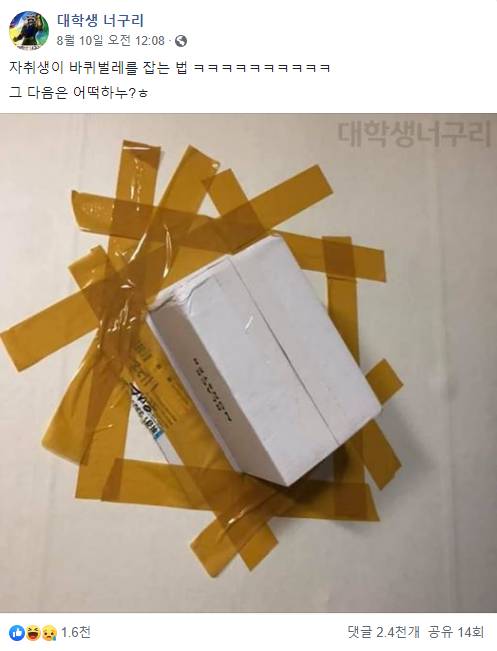 바퀴벌레 잡았다!.jpg