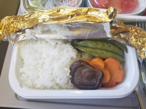 [스압] 베지테리안을 위한 채식 기내식..jpg