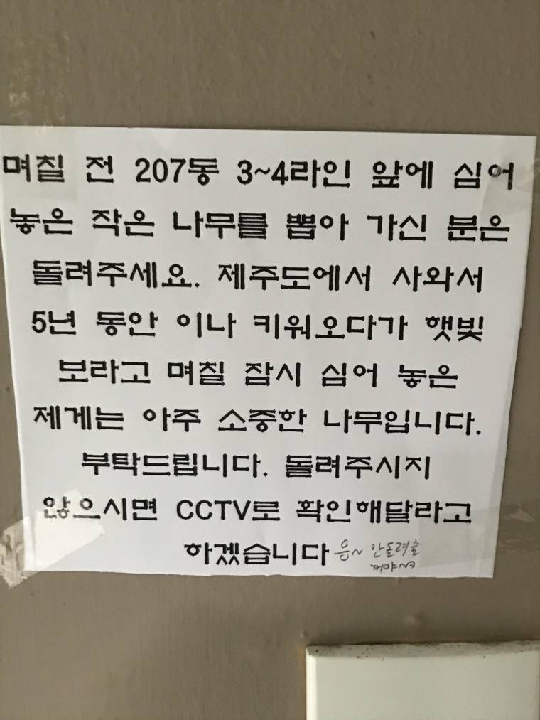 아파트단지 삼위일체.jpg