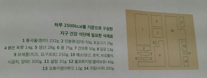 지구와 인류가 모두 건강한 식단.jpg