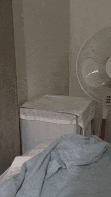 이놈의 건망증.gif