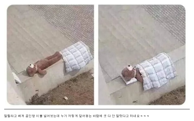 귀여운 친절함이 부른 참사.jpg