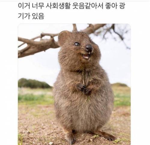 사회생활 웃음.jpg