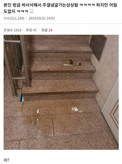 디씨 바사삭 갤러리.jpg
