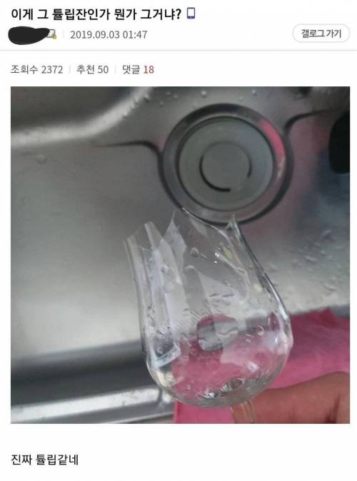 디씨 바사삭 갤러리.jpg