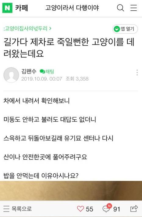 고양이가 밥을 안먹어요,,,.jpg