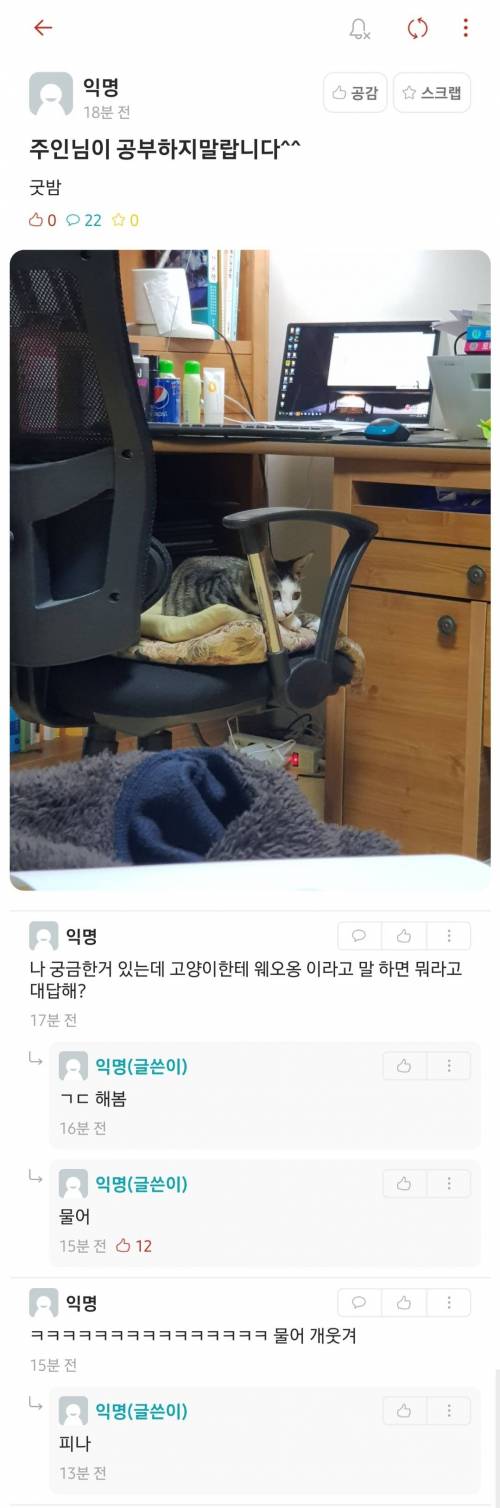 공부하지 말라는 주인님.jpg