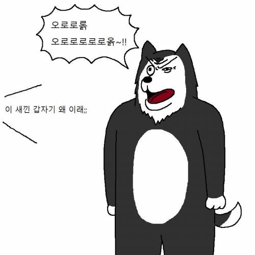 [스압] 신발 다 찢어발기는 개 참교육하는 만화.jpg