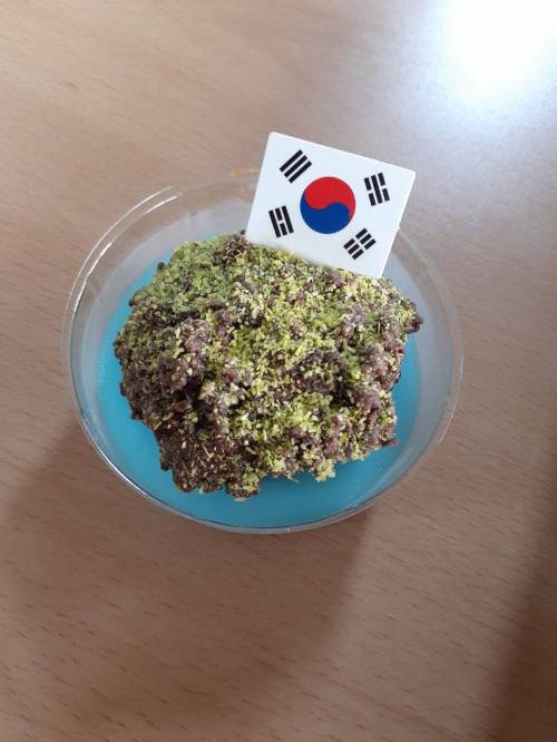 [스압] 어제자 실트 1위인 `독도케이크`.jpg