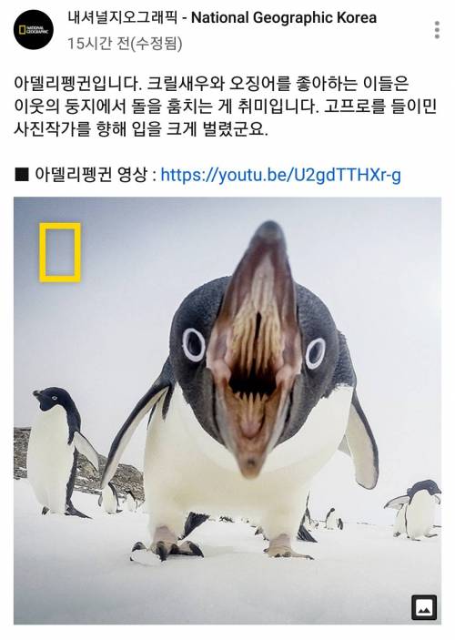 엄근진 채널관리자.jpg