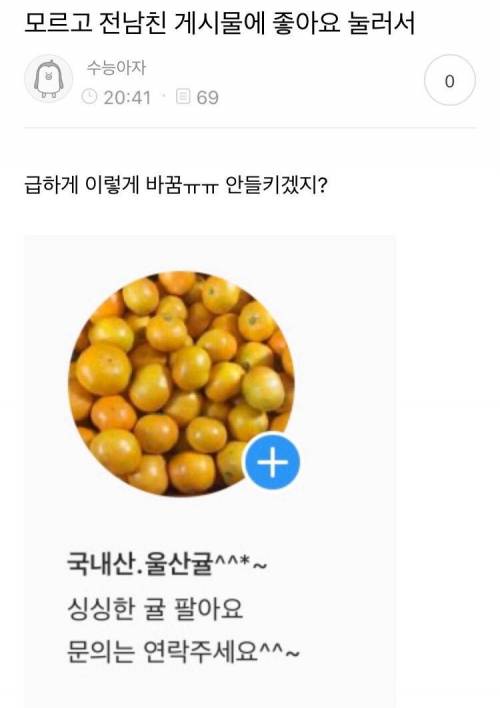 전남친 때문에 귤장사 시작한 여자.jpg