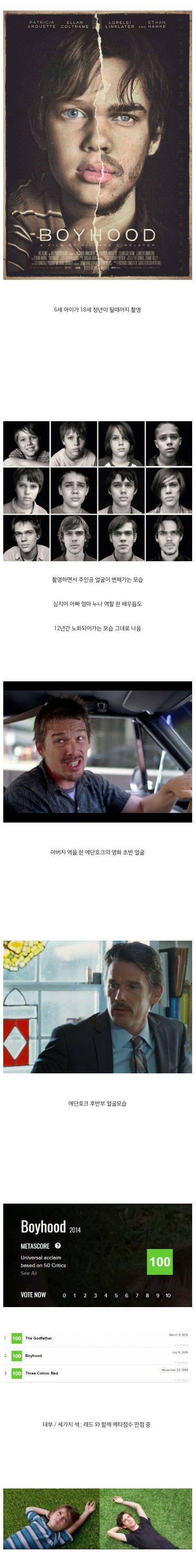 촬영 기간 12년 걸린 영화.jpg