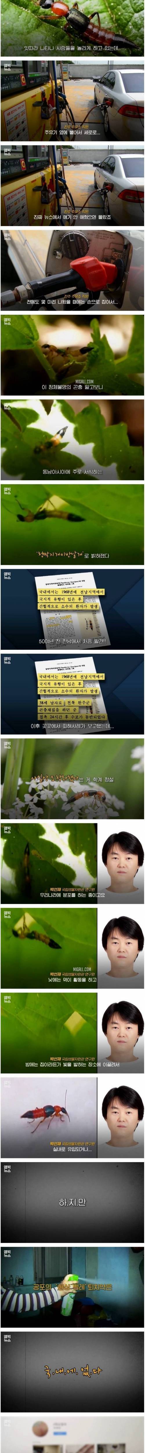 [스압] 기숙사 침대까지 점령한 공포의 화상벌레.jpg
