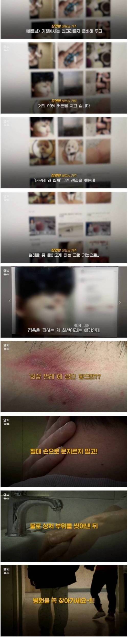 [스압] 기숙사 침대까지 점령한 공포의 화상벌레.jpg